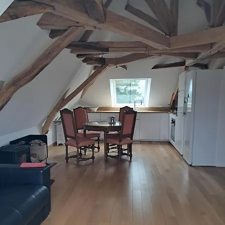 דירה Le Loft Le Joyeux Rollier Ecommoy